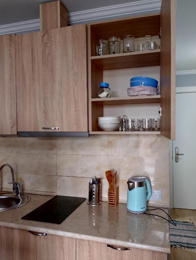 New Gudauri Loft #1,Room 411, 412 المظهر الخارجي الصورة